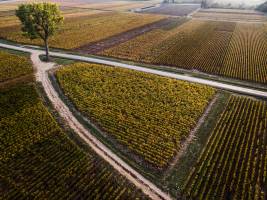 Jean-Baptiste PETER - JIB PETER PHOTOGRAPHE