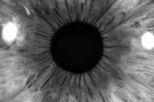 Martin VIZIBLE - Escale Création